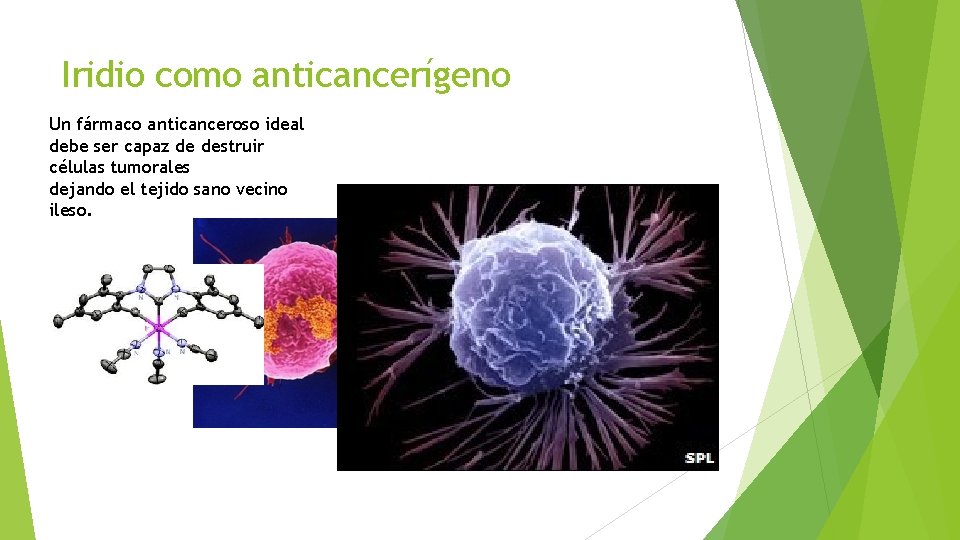 Iridio como anticancerígeno Un fármaco anticanceroso ideal debe ser capaz de destruir células tumorales