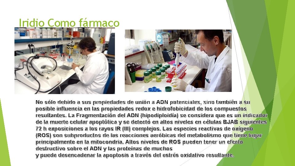 Iridio Como fármaco No sólo debido a sus propiedades de unión a ADN potenciales,