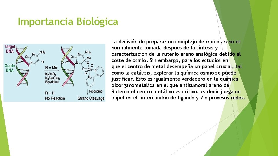Importancia Biológica La decisión de preparar un complejo de osmio areno es normalmente tomada