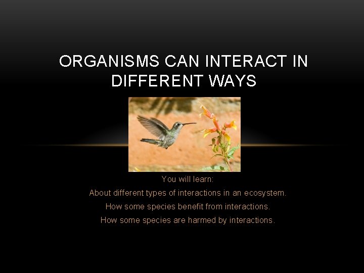 ORGANISMS CAN INTERACT IN DIFFERENT WAYS You will learn: About different types of interactions