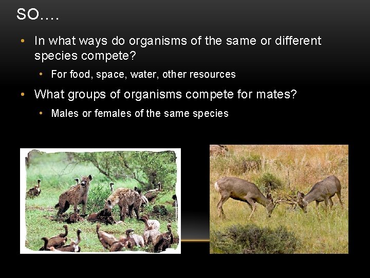 SO…. • In what ways do organisms of the same or different species compete?