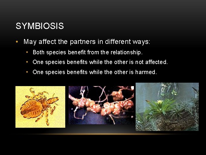 SYMBIOSIS • May affect the partners in different ways: • Both species benefit from