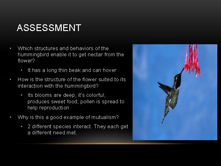 ASSESSMENT • Which structures and behaviors of the hummingbird enable it to get nectar