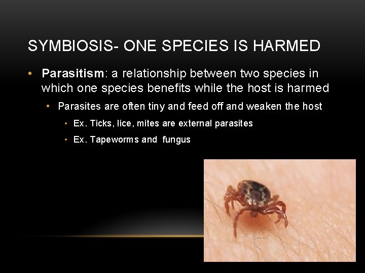 SYMBIOSIS- ONE SPECIES IS HARMED • Parasitism: a relationship between two species in which