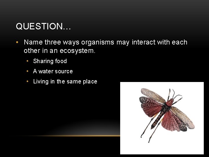 QUESTION… • Name three ways organisms may interact with each other in an ecosystem.
