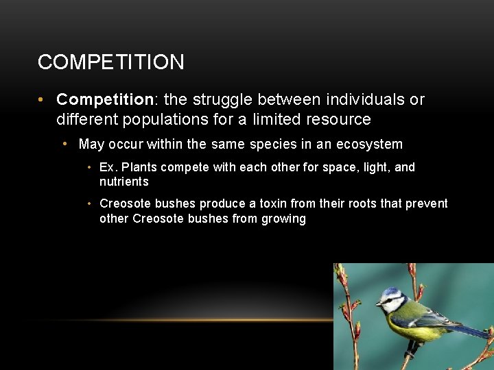 COMPETITION • Competition: the struggle between individuals or different populations for a limited resource