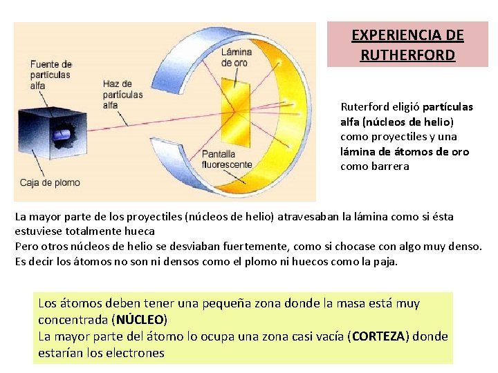 EXPERIENCIA DE RUTHERFORD Ruterford eligió partículas alfa (núcleos de helio) como proyectiles y una EXPERIENCIA DE RUTHERFORD Ruterford eligió partículas alfa (núcleos de helio) como proyectiles y una