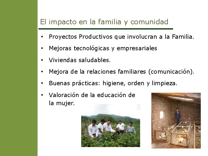 El impacto en la familia y comunidad • Proyectos Productivos que involucran a la