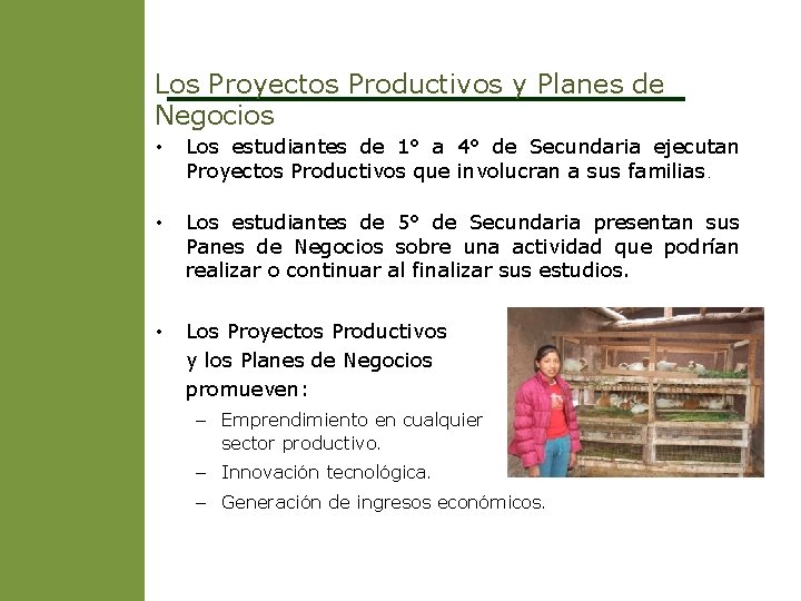 Los Proyectos Productivos y Planes de Negocios • Los estudiantes de 1° a 4°