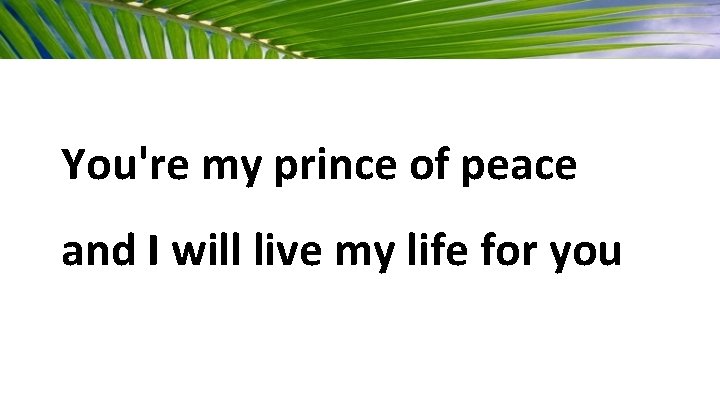 You're my prince of peace and I will live my life for you 