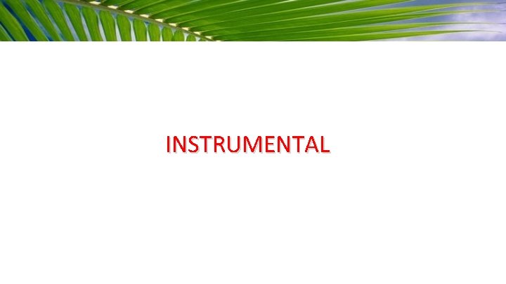 INSTRUMENTAL 