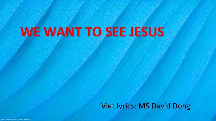 WE WANT TO SEE JESUS Viet lyrics: MS David Dong 