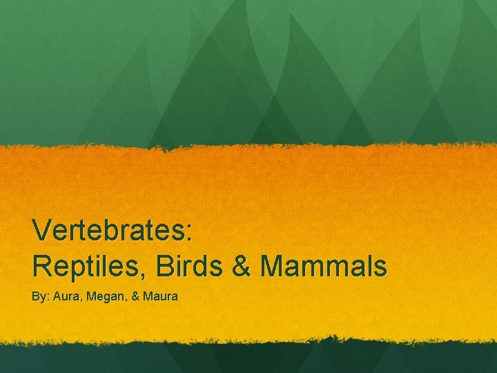 Vertebrates: Reptiles, Birds & Mammals By: Aura, Megan, & Maura 