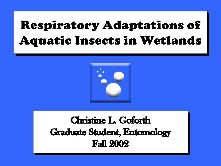 Respiratory Adaptations of Aquatic Insects in Wetlands Christine L. Goforth Graduate Student, Entomology Fall