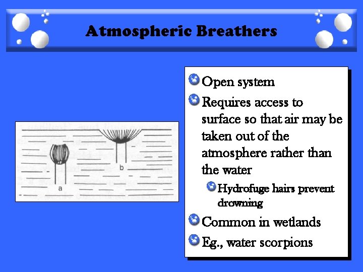 Atmospheric Breathers Open system Requires access to surface so that air may be taken
