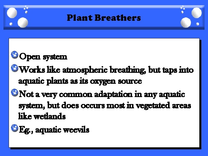 Plant Breathers Open system Works like atmospheric breathing, but taps into aquatic plants as