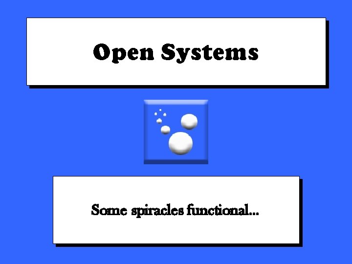 Open Systems Some spiracles functional… 