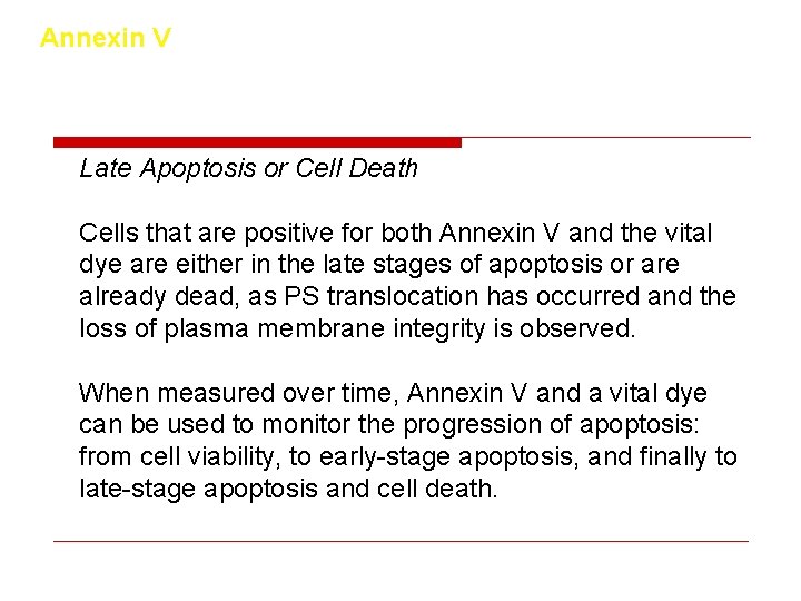 Annexin V Late Apoptosis or Cell Death Cells that are positive for both Annexin