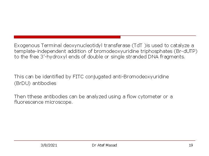 Exogenous Terminal deoxynucleotidyl transferase (Td. T )is used to catalyze a template-independent addition of