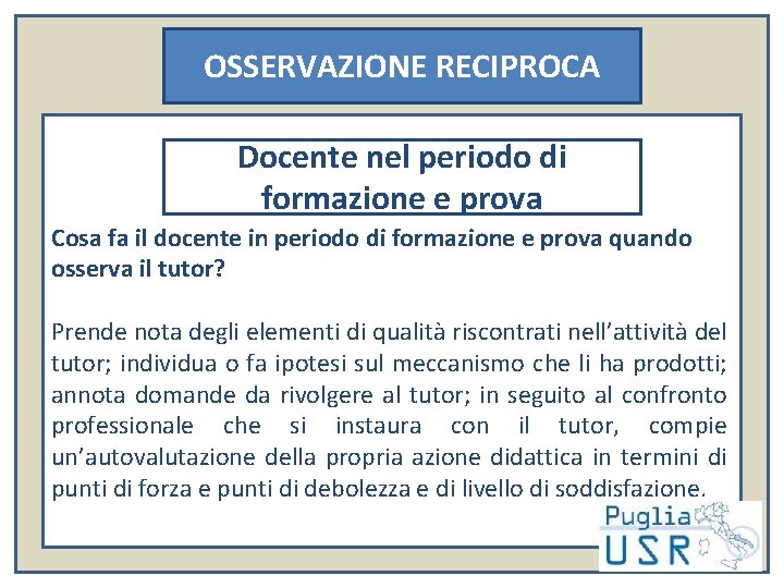 OSSERVAZIONE RECIPROCA Docente nel periodo di formazione e prova Cosa fa il docente in