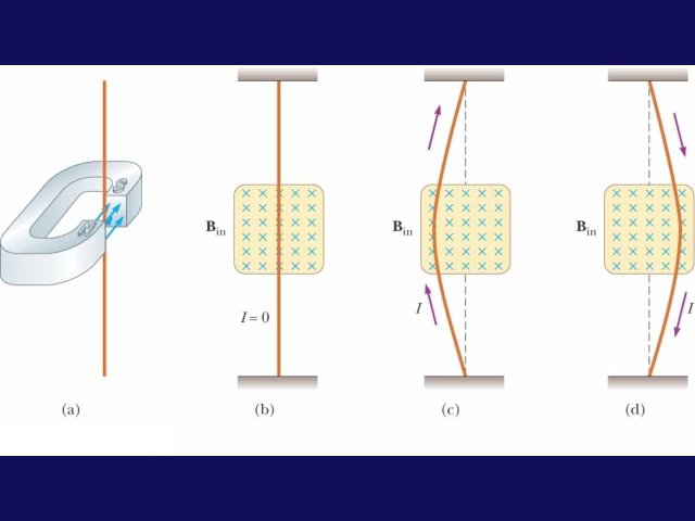 Physics 12 Lecture 7 Todays Agenda Announcements Lectures