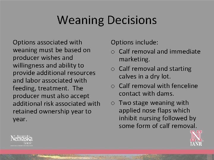 Weaning Decisions Options associated with weaning must be based on producer wishes and willingness