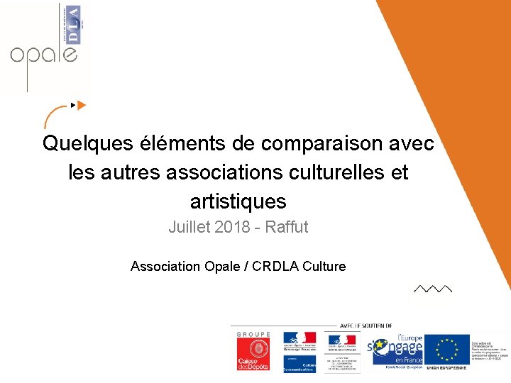 Quelques éléments de comparaison avec les autres associations culturelles et artistiques Juillet 2018 -