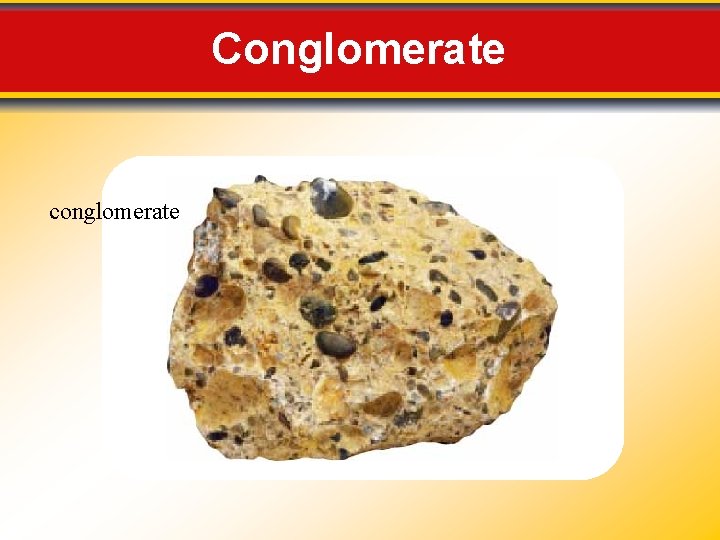 Conglomerate conglomerate Conglomerate conglomerate