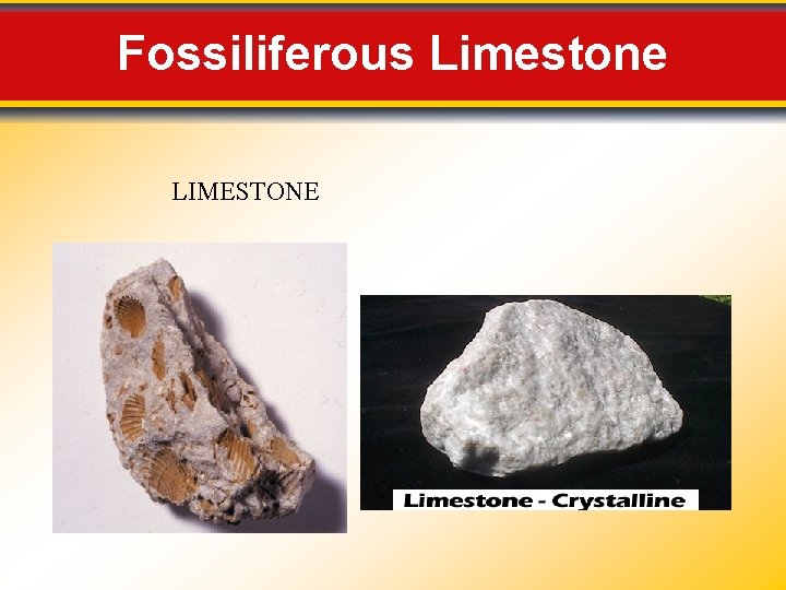 Fossiliferous Limestone LIMESTONE Fossiliferous Limestone LIMESTONE