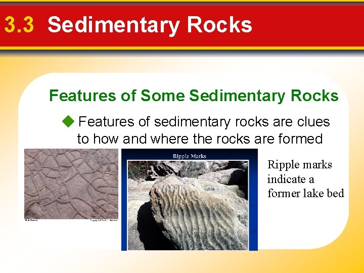 3. 3 Sedimentary Rocks Features of Some Sedimentary Rocks Features of sedimentary rocks are 3. 3 Sedimentary Rocks Features of Some Sedimentary Rocks Features of sedimentary rocks are