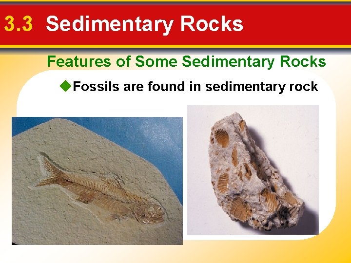 3. 3 Sedimentary Rocks Features of Some Sedimentary Rocks Fossils are found in sedimentary 3. 3 Sedimentary Rocks Features of Some Sedimentary Rocks Fossils are found in sedimentary