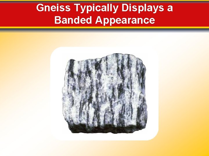 Gneiss Typically Displays a Banded Appearance Gneiss Typically Displays a Banded Appearance