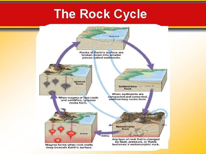 The Rock Cycle The Rock Cycle