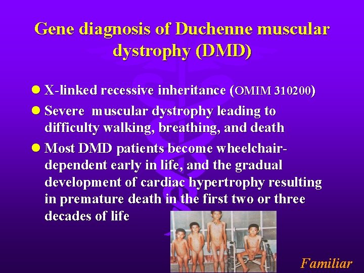 Gene diagnosis of Duchenne muscular dystrophy (DMD) l X-linked recessive inheritance (OMIM 310200) l