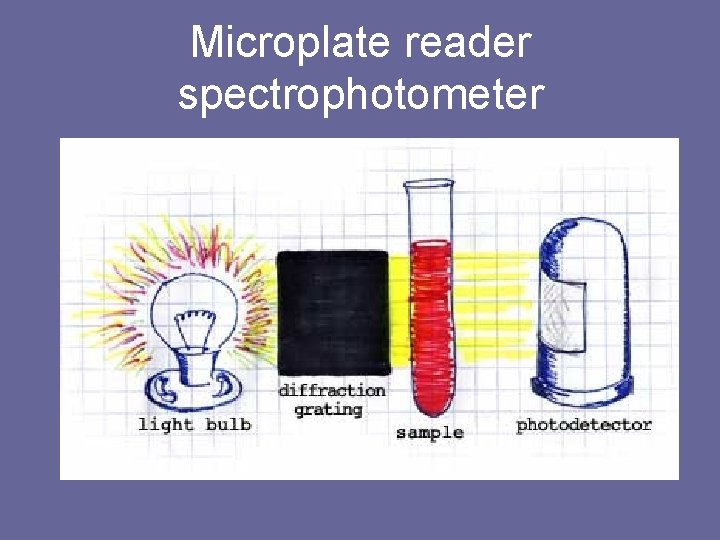 Microplate reader spectrophotometer 