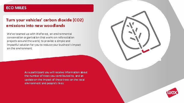 ECO MILES Turn your vehicles’ carbon dioxide (CO 2) emissions into new woodlands We’ve ECO MILES Turn your vehicles’ carbon dioxide (CO 2) emissions into new woodlands We’ve