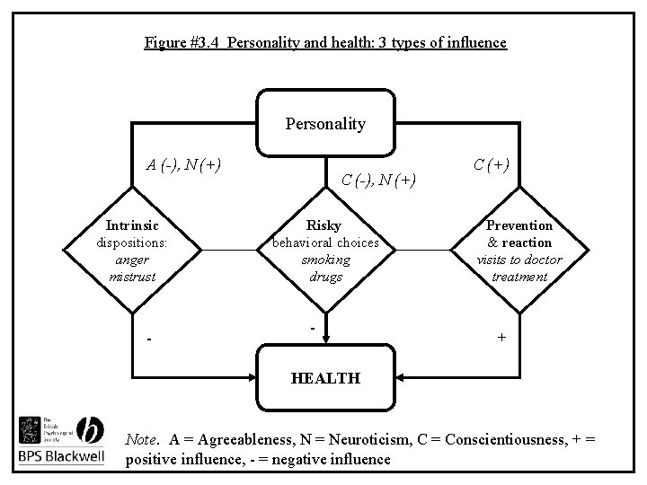 Figure #3. 4 Personality and health: 3 types of influence Personality A (-), N