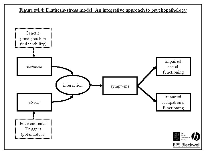 Figure #4. 4: Diathesis-stress model: An integrative approach to psychopathology Genetic predisposition (vulnerability) impaired
