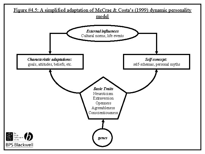 Figure #4. 5: A simplified adaptation of Mc. Crae & Costa’s (1999) dynamic personality