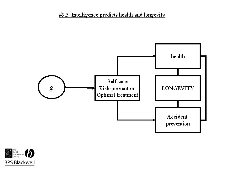 #9. 5 Intelligence predicts health and longevity health g Self-care Risk-prevention Optimal treatment LONGEVITY