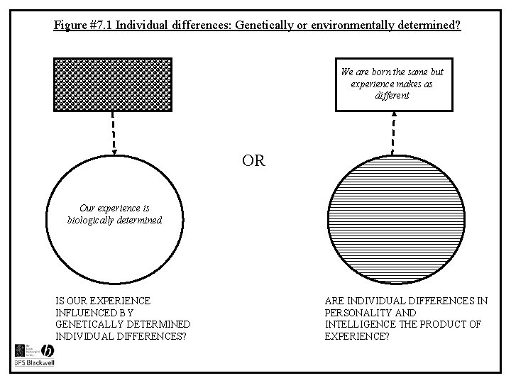 Figure #7. 1 Individual differences: Genetically or environmentally determined? We are born the same