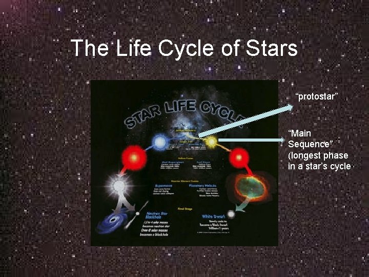 The Life Cycle of Stars “protostar” “Main Sequence” (longest phase in a star’s cycle