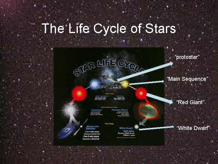 The Life Cycle of Stars “protostar” “Main Sequence” “Red Giant” “White Dwarf” 