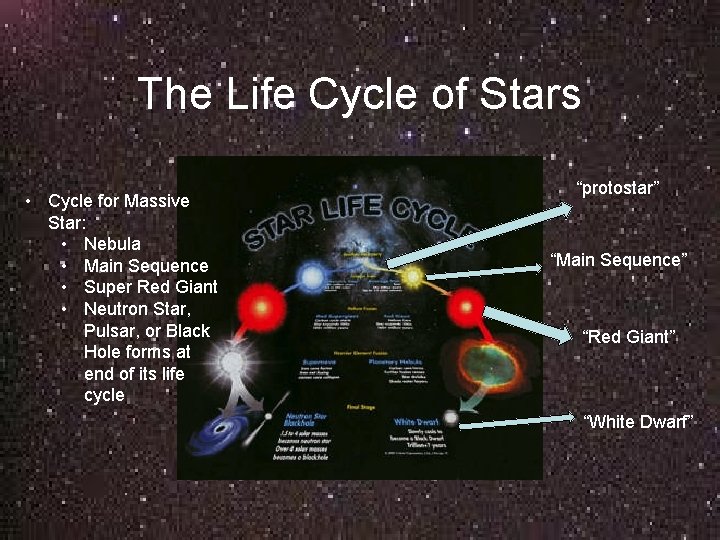 The Life Cycle of Stars • Cycle for Massive Star: • Nebula • Main