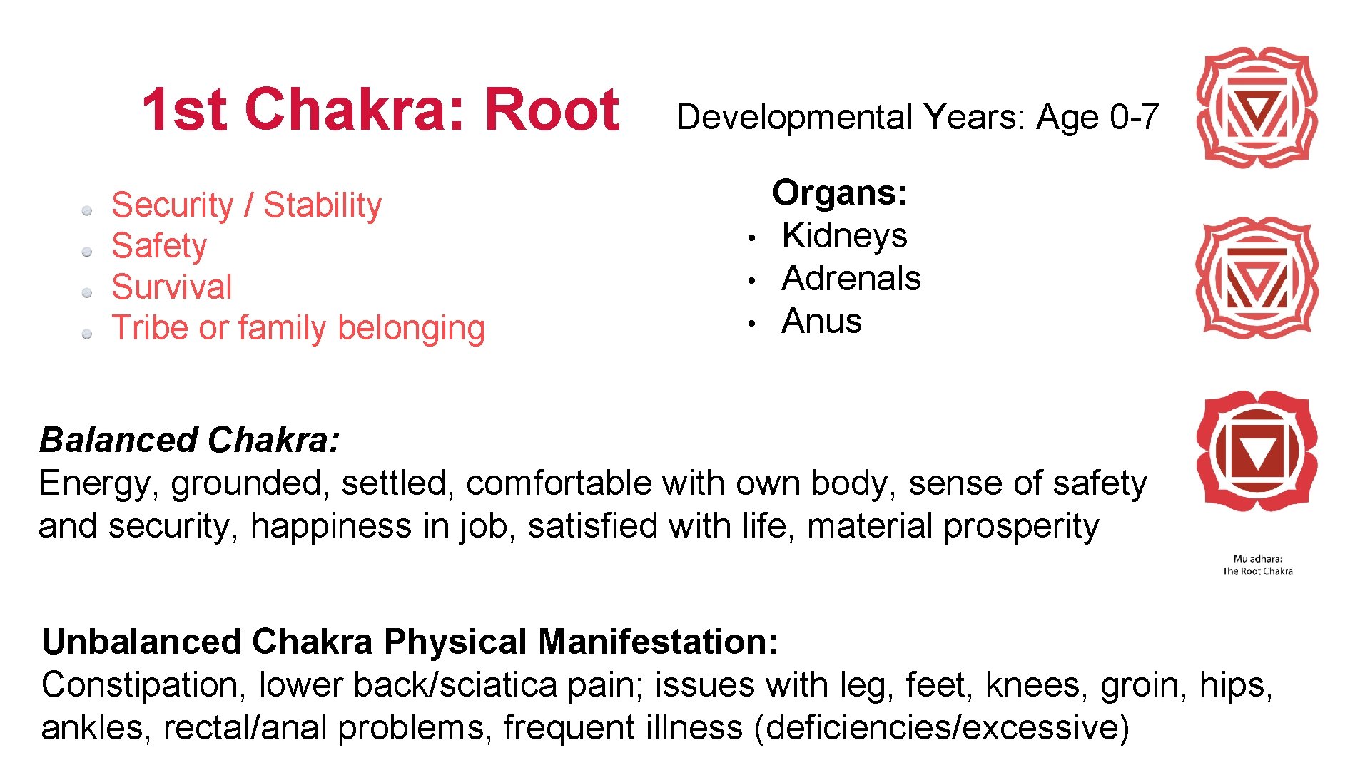 1 st Chakra: Root Security / Stability Safety Survival Tribe or family belonging Developmental