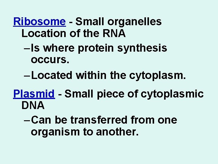 Ribosome - Small organelles Location of the RNA – Is where protein synthesis occurs.