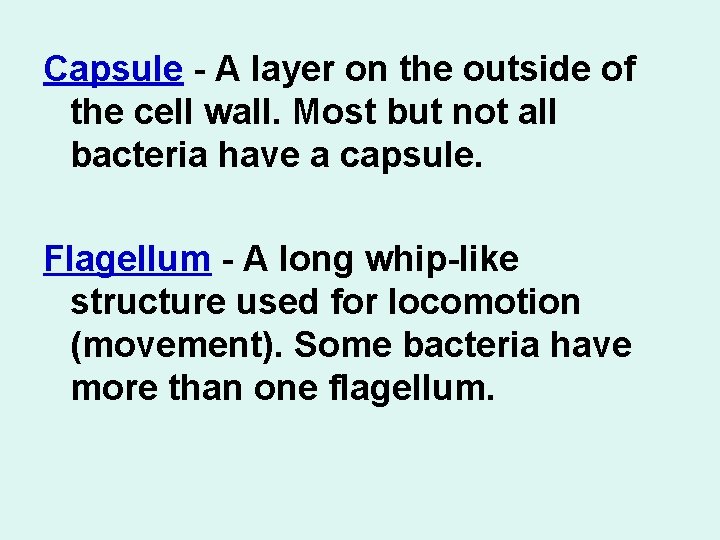 Capsule - A layer on the outside of the cell wall. Most but not