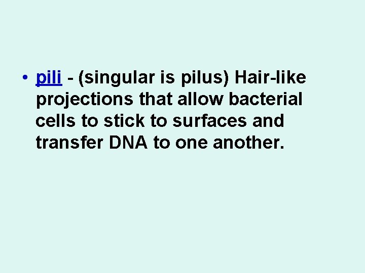  • pili - (singular is pilus) Hair-like projections that allow bacterial cells to