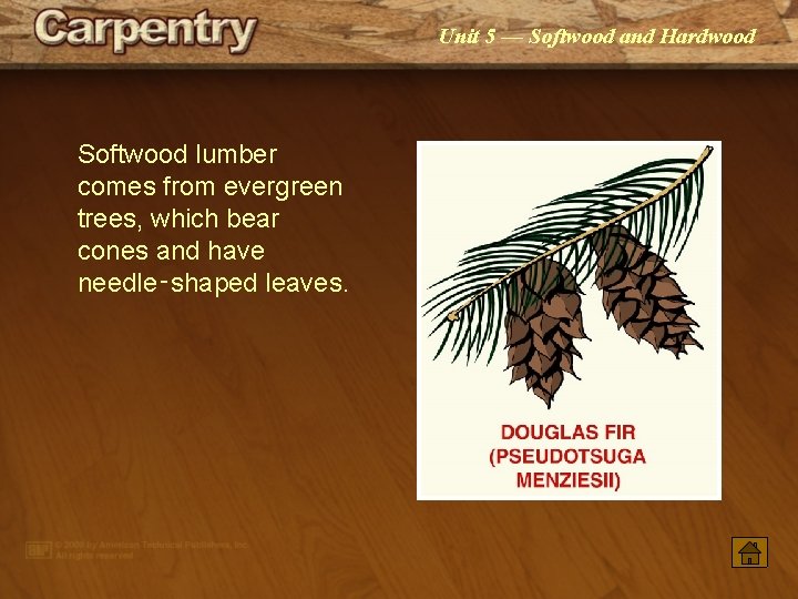 Unit 5 — Softwood and Hardwood Softwood lumber comes from evergreen trees, which bear