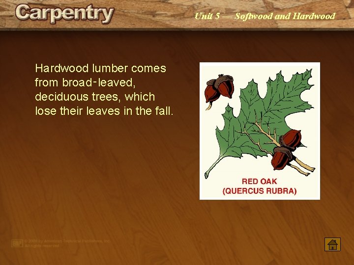 Unit 5 — Softwood and Hardwood lumber comes from broad‑leaved, deciduous trees, which lose